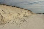 Click to enlarge St. Andrews State Park, Florida, United States.