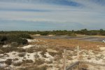 Click to enlarge St. Andrews State Park, Florida, United States.