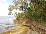 Click to enlarge Tomoka State Park, Florida, United States.