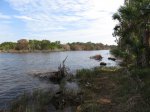 Click to enlarge Tomoka State Park, Florida, United States.
