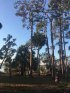 Tomoka State Park, Florida, United States. 