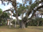 Click to enlarge Tomoka State Park, Florida, United States. Chief Tomokie statue and beautiful park area.