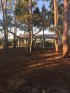 Tomoka State Park, Florida, United States. Day use pavilion 