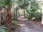 Tomoka State Park, Florida, United States. Hiking Trail