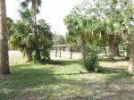 Tomoka State Park, Florida, United States. Oak pavilion in day use area.