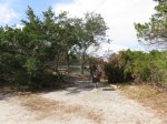 Tomoka State Park, Florida, United States. Picnic area