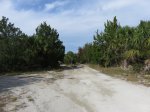 Tomoka State Park, Florida, United States. Road into picnic day use area.