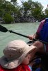 Cayo Costa State Park, Florida, United States. 