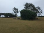 Malaekahana State Rec Area, Hawaii, United States. Malaekahana State Rec Area