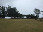 Malaekahana State Rec Area, Hawaii, United States. Malaekahana State Rec Area
