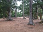 Malaekahana State Rec Area, Hawaii, United States. Malaekahana State Rec Area
