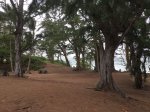 Malaekahana State Rec Area, Hawaii, United States. Malaekahana State Rec Area
