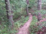 Brown County State Park, Indiana, United States. Brown County State Park trail path.