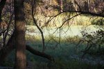 Gull Point State Park, Iowa, United States. 