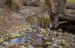 Click to enlarge Fort Boonesborough State Park, Kentucky, United States. Small stream that runs between the campground and day use area. Some of the campsites back up to the stream.