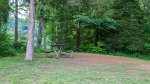General Burnside State Park, Kentucky, United States. Picnic areas with a single table and grill are scattered along the road.