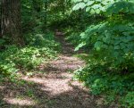 General Burnside State Park, Kentucky, United States. There were no designated hiking trails. A few social trails were located at the campground.