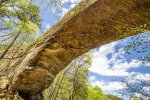 Click to enlarge Daniel Boone National Forest, Kentucky, United States.