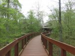 Click to enlarge Chicot State Park, Louisiana, United States. Arboretum located near the south campground. Educational area with scenic trails.