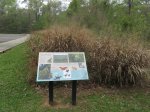 Click to enlarge Chicot State Park, Louisiana, United States. Arboretum located near the south campground. Educational area with scenic trails.
