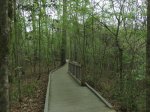 Click to enlarge Chicot State Park, Louisiana, United States. Arboretum located near the south campground. Educational area with scenic trails.