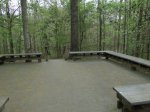 Click to enlarge Chicot State Park, Louisiana, United States. Arboretum located near the south campground. Educational area with scenic trails.