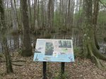 Click to enlarge Chicot State Park, Louisiana, United States. Arboretum located near the south campground. Educational area with scenic trails.