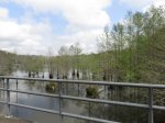 Click to enlarge Chicot State Park, Louisiana, United States. Bridge on the road between the south and north sections of park