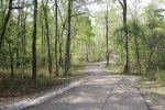 Chicot State Park, Louisiana, United States. 