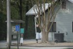 Chicot State Park, Louisiana, United States. 
