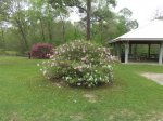 Click to enlarge Chicot State Park, Louisiana, United States. Day use picnic area and playground