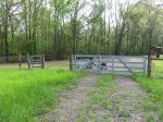Click to enlarge Chicot State Park, Louisiana, United States. East Landing, the most remote part of the park.