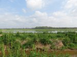 Click to enlarge Chicot State Park, Louisiana, United States. East Landing, the most remote part of the park.