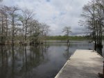 Click to enlarge Chicot State Park, Louisiana, United States. North section boardwalk and boat launch area.