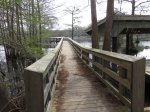 Click to enlarge Chicot State Park, Louisiana, United States. North section boardwalk and boat launch area.
