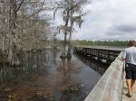 Click to enlarge Chicot State Park, Louisiana, United States. North section boardwalk and boat launch area.