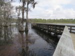 Click to enlarge Chicot State Park, Louisiana, United States. North section boardwalk and boat launch area.