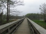 Click to enlarge Chicot State Park, Louisiana, United States. South end boardwalk