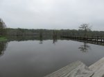 Click to enlarge Chicot State Park, Louisiana, United States. South end boardwalk