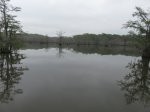 Click to enlarge Chicot State Park, Louisiana, United States. South end boardwalk