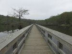 Click to enlarge Chicot State Park, Louisiana, United States. South end boardwalk