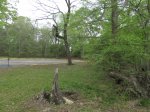 Chicot State Park, Louisiana, United States. South end boardwalk