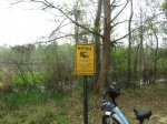 Chicot State Park, Louisiana, United States. South end boardwalk