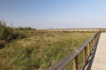 Click to enlarge Cypremort Point State Park, Louisiana, United States. Marsh Boardwalk with an educational centre at the end.