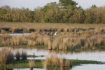 Click to enlarge Cypremort Point State Park, Louisiana, United States.