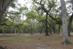 Click to enlarge Fontainebleau State Park, Louisiana, United States.