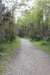 Click to enlarge Fontainebleau State Park, Louisiana, United States.