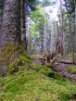 Click to enlarge Acadia National Park, Maine, United States.