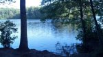 Click to enlarge Harold Parker State Forest, Massachusetts, United States. Field pond offers great fishing, particularly large mouth bass.