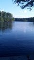 Click to enlarge Harold Parker State Forest, Massachusetts, United States. Feild Pond also has many great hiking trails around it. Scenic and relaxing.